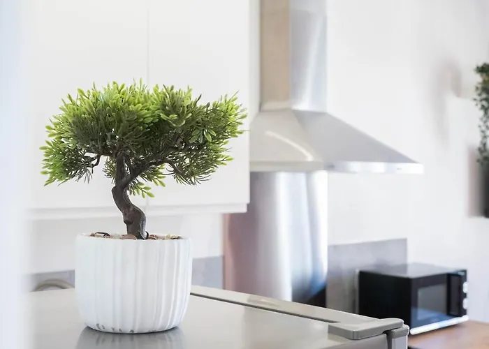 Royal Barbatre - Cathedral - Basilica * Reims